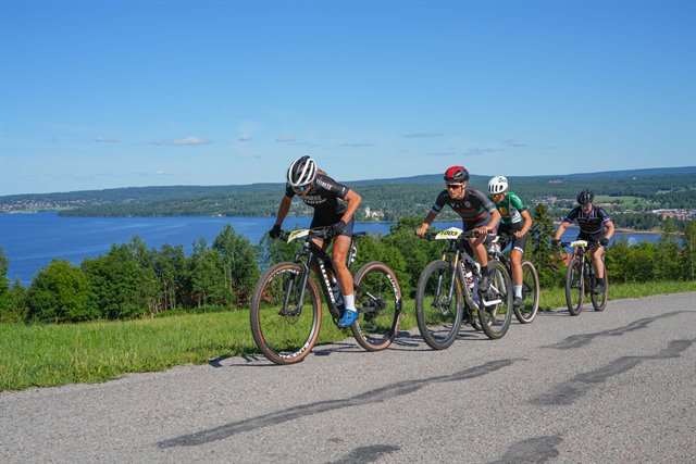 Morksuggejakten2023fotoCykelkanalen4.jpg